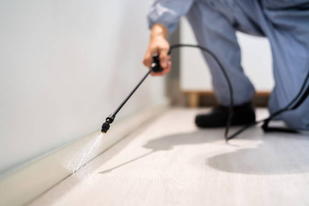 Licensed Termite Control service in Pittsburg County County, OK - Nex Pest Control