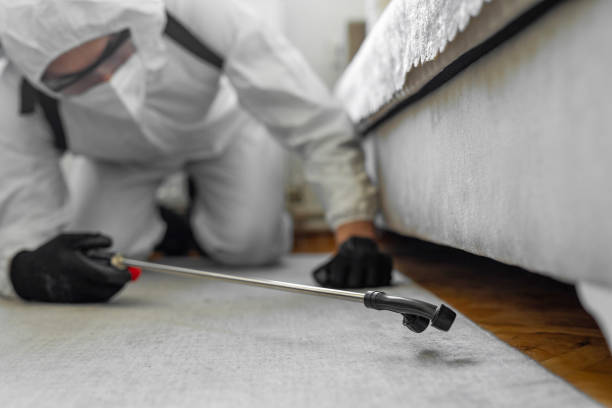 Professional Termite Control technician working in Pittsburg County County, OK